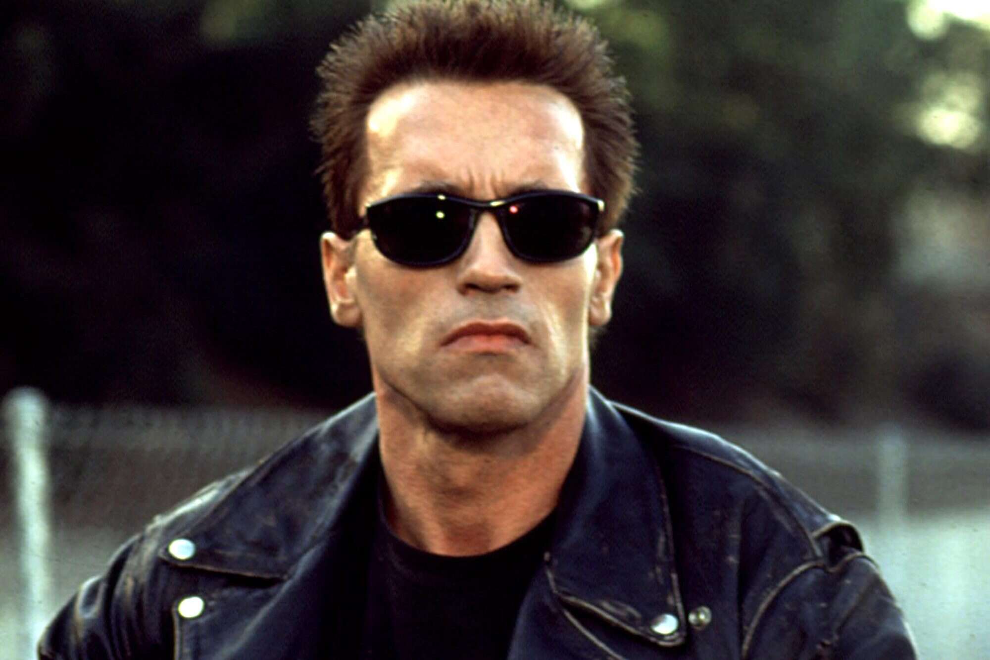 Arnold Schwarzenegger trở lại với màn ảnh rộng - Ảnh 2.