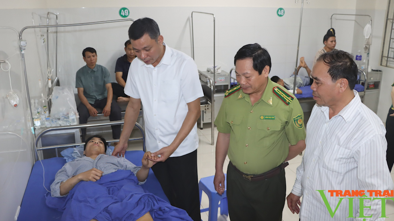 Sơn La: Cán bộ kiểm lâm bị thương nặng khi tham gia chữa cháy rừng - Ảnh 3.