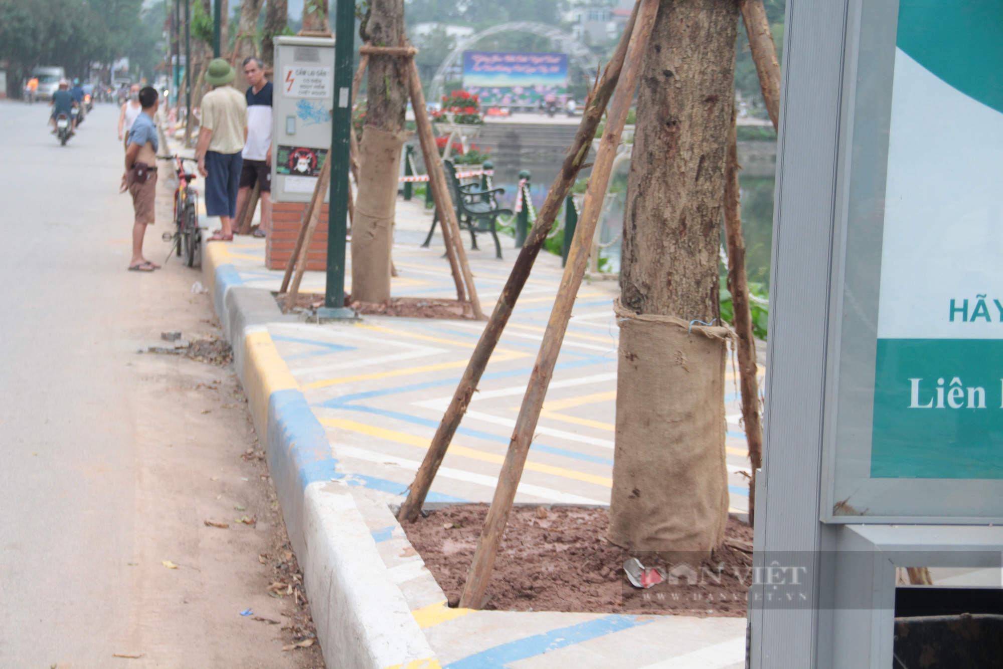 Bất ngờ trước diện mạo mới của phố đi bộ Trịnh Công Sơn - Ảnh 3.