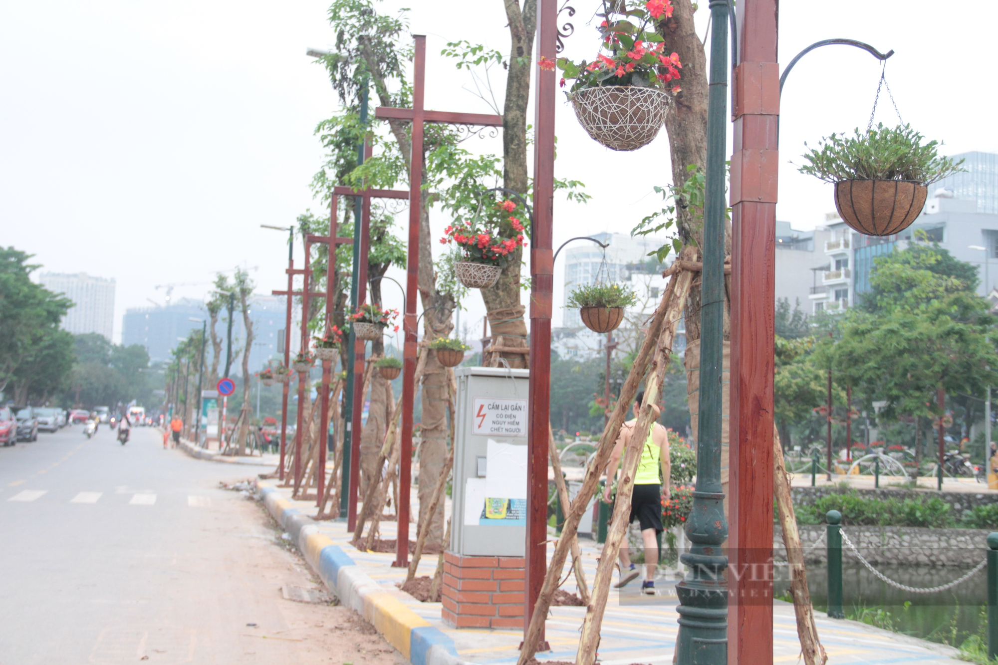 Bất ngờ trước diện mạo mới của phố đi bộ Trịnh Công Sơn - Ảnh 6.