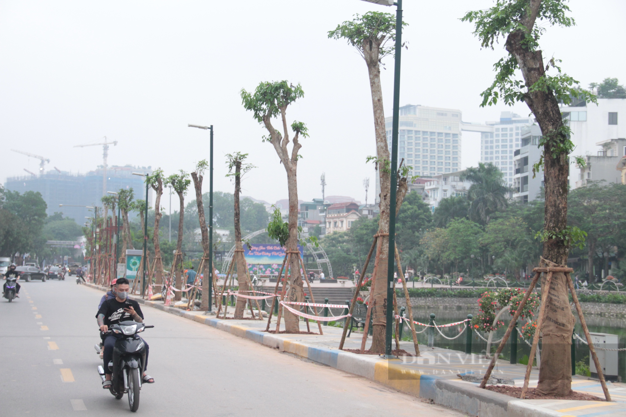 Bất ngờ trước diện mạo mới của phố đi bộ Trịnh Công Sơn - Ảnh 9.