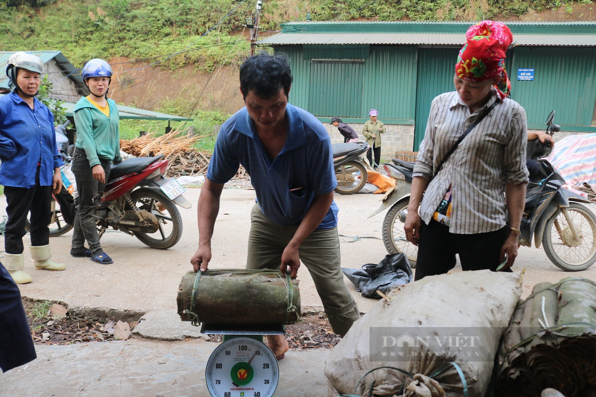 Đưa sản phẩm quế của nông dân Lào Cai vươn ra thị trường thế giới - Ảnh 3.