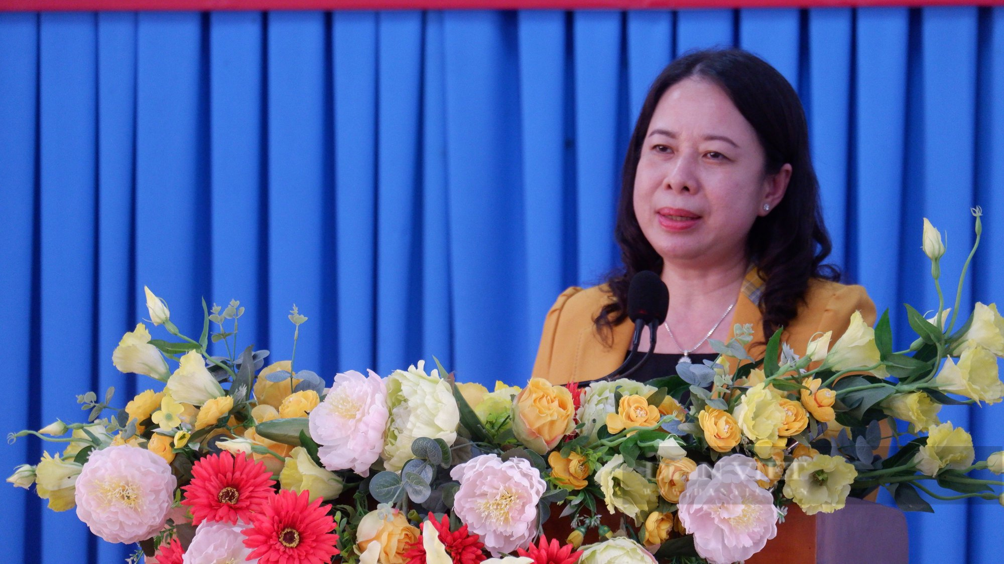 Phó Chủ tịch nước Võ Thị Ánh Xuân tiếp xúc cử tri tại An Giang - Ảnh 1.