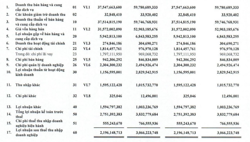 Thép Tiến Lên (TLH) kinh doanh lao dốc 93% còn 6,3 tỷ đồng, đầu tư cổ phiếu SHB, VIX, IJC đang &quot;lỗ sâu&quot; - Ảnh 1.
