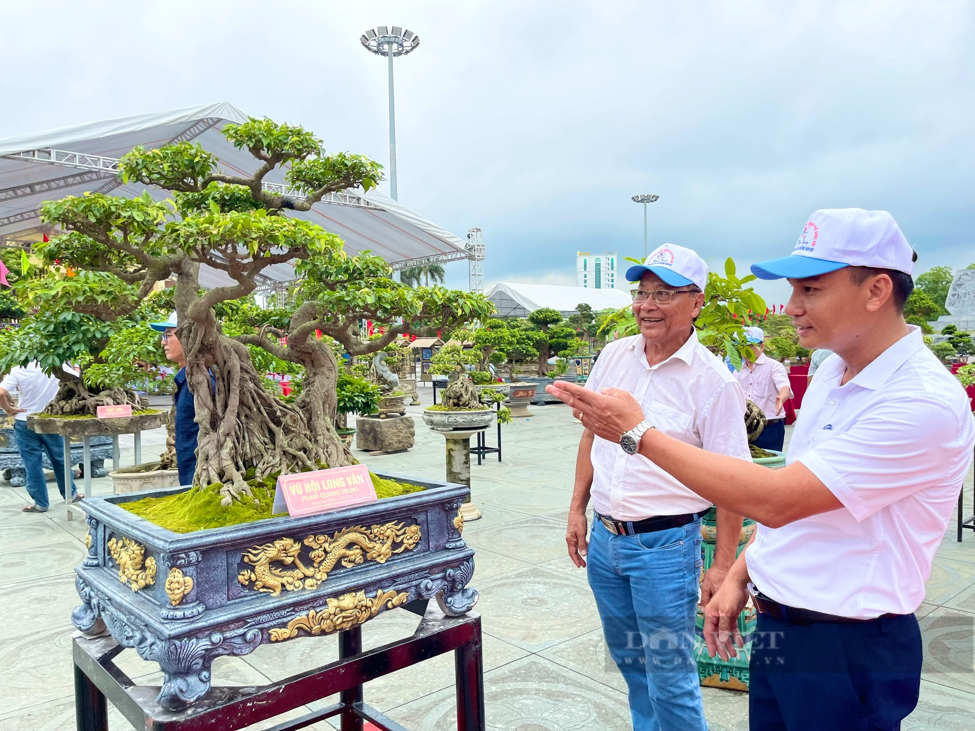 Quảng Bình: Hàng trăm tác phẩm cây cảnh, ảnh tư liệu Đồng Hới xưa trưng bày ở Quảng trường Hồ Chí Minh - Ảnh 4.