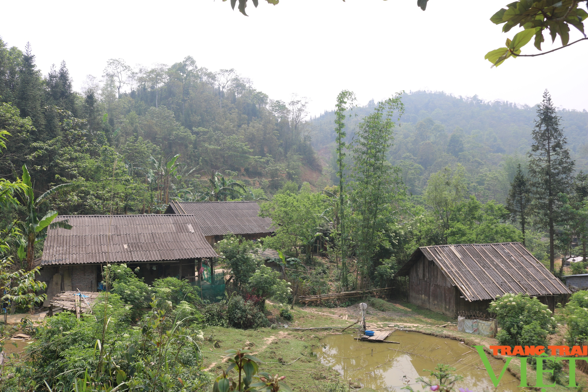 Người dân nghèo vùng cao Lào Cai mong muốn có nơi ở mới - Ảnh 6.