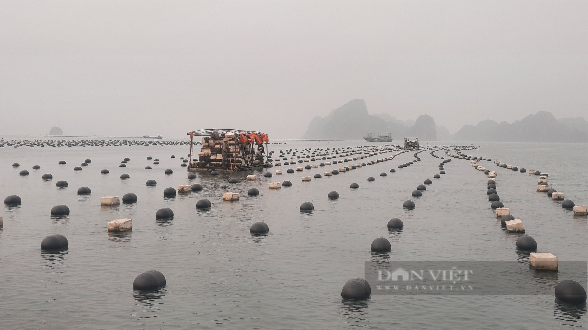 Để thu gom, xử lý phao xốp trôi nổi trên biển, huyện Vân Đồn (tỉnh Quảng Ninh)  - Ảnh 2.