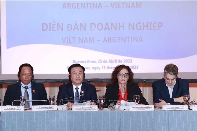 Diễn đàn doanh nghiệp Việt Nam - Argentina: Xác định nhiều cơ hội hợp tác - Ảnh 1.