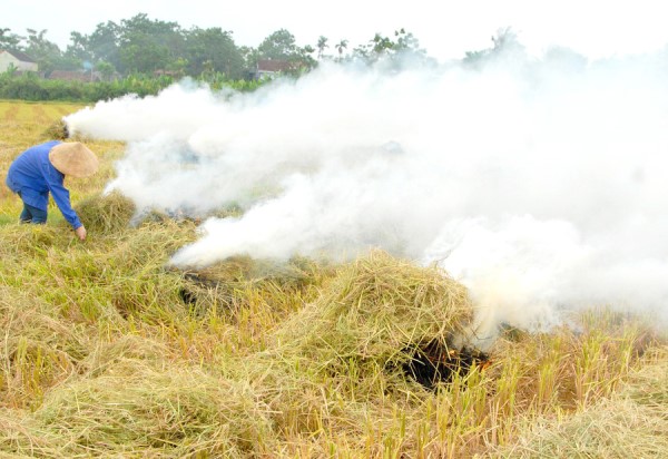 TT-Huế: Chủ tịch UBND cấp huyện phải chịu trách nhiệm khi để để dân đốt rơm rạ sau thu hoạch  - Ảnh 1.