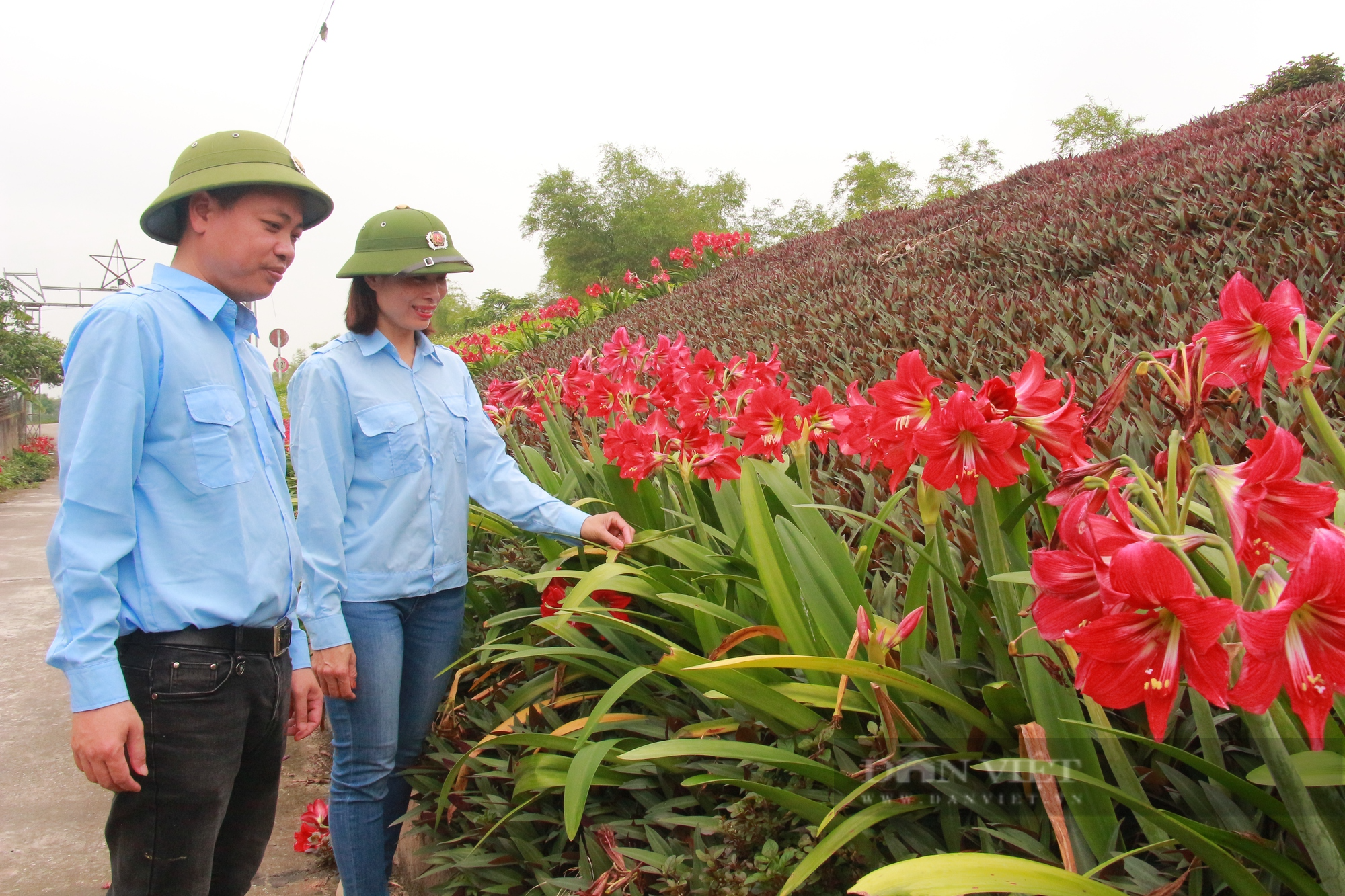 Đê kiểu mẫu nở hoa rực rỡ, làm đẹp cảnh quan nông thôn mới ở Nam Định - Ảnh 1.