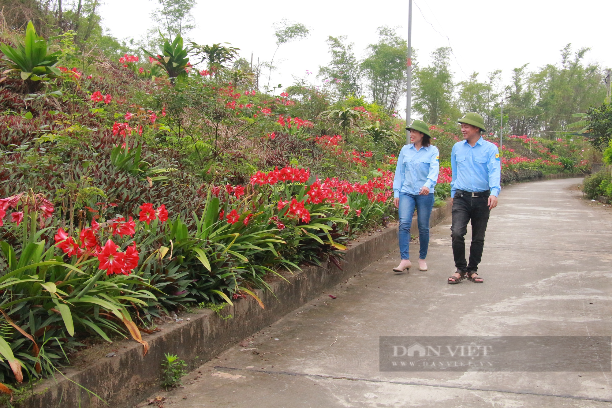Đê kiểu mẫu nở hoa rực rỡ, làm đẹp cảnh quan nông thôn mới ở Nam Định - Ảnh 3.