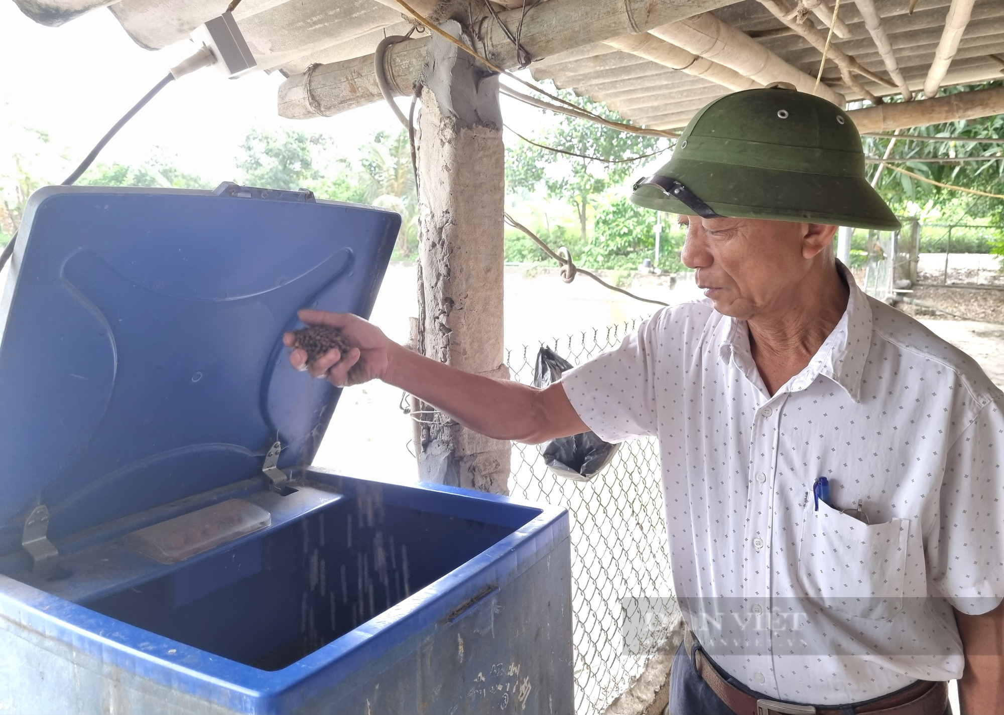 Một hợp tác xã nuôi cá, trồng cây ở Ninh Bình có doanh thu 20 tỉ đồng/năm - Ảnh 3.