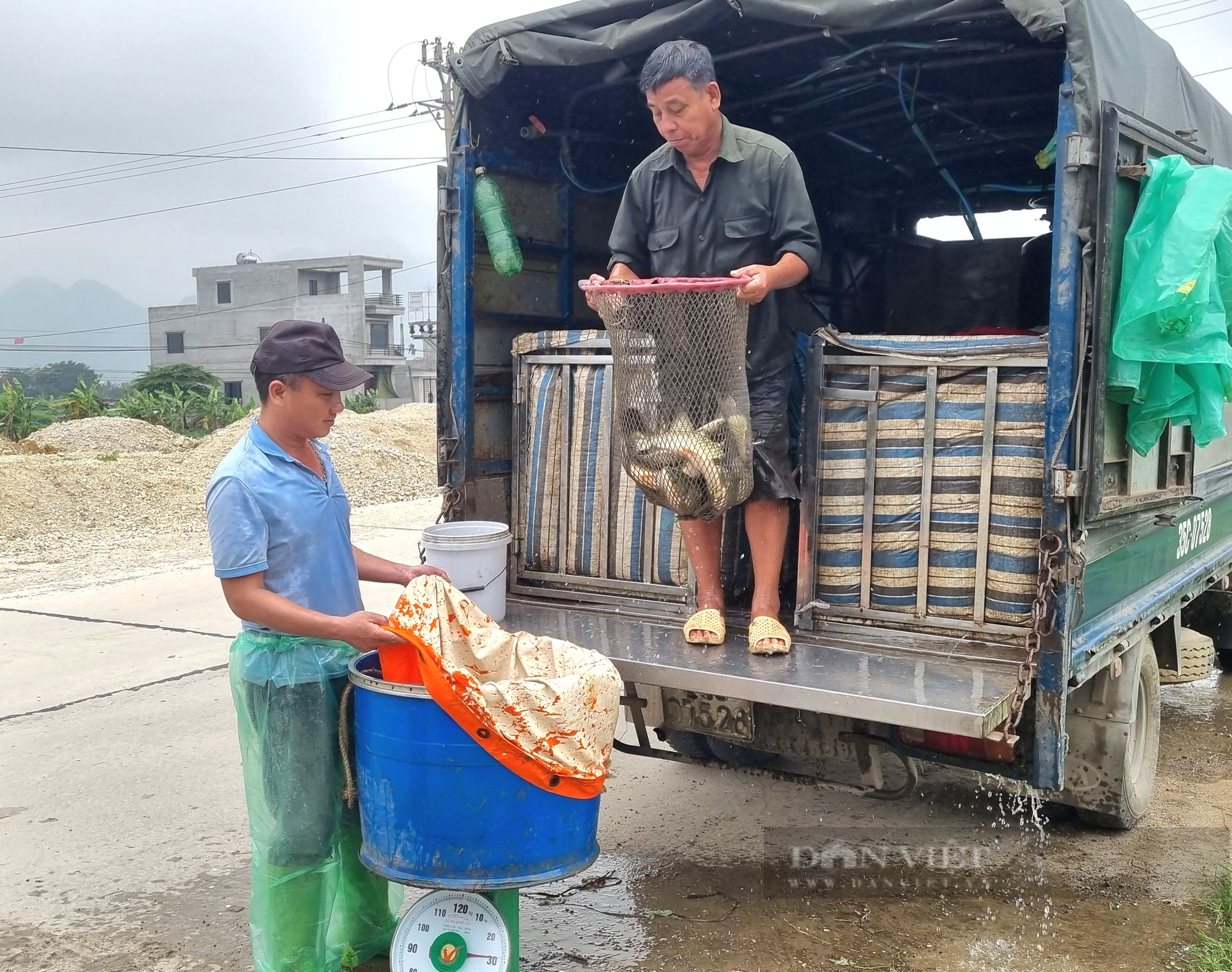 Một hợp tác xã nuôi cá, trồng cây ở Ninh Bình có doanh thu 20 tỉ đồng/năm - Ảnh 4.
