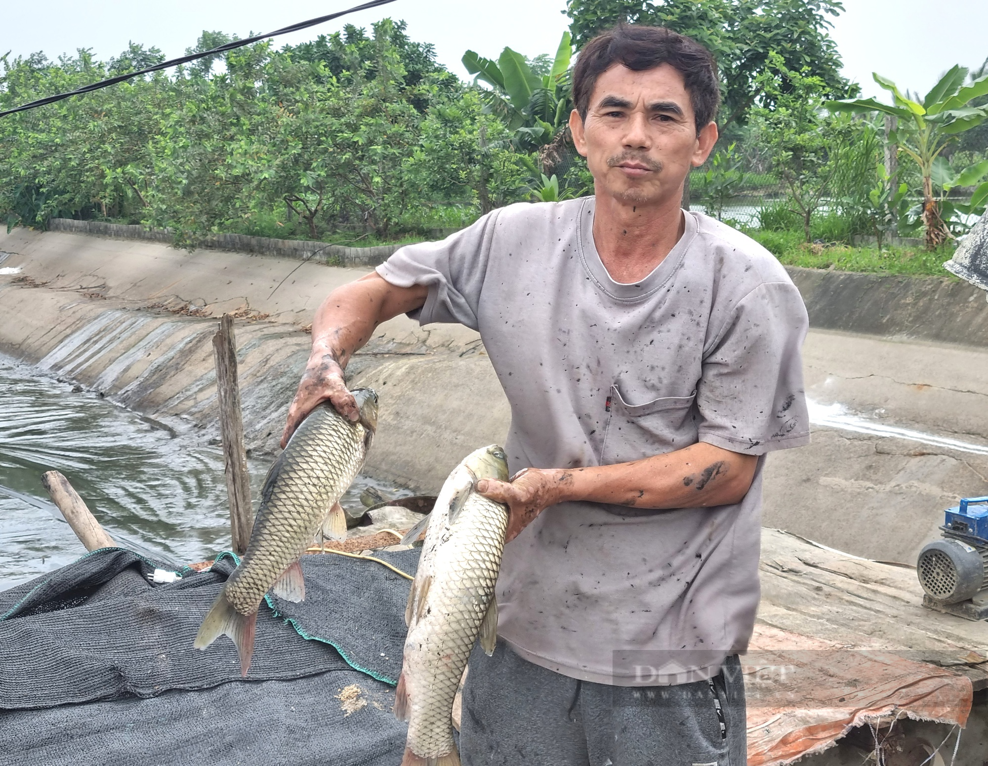 Một hợp tác xã nuôi cá, trồng cây ở Ninh Bình có doanh thu 20 tỉ đồng/năm - Ảnh 6.