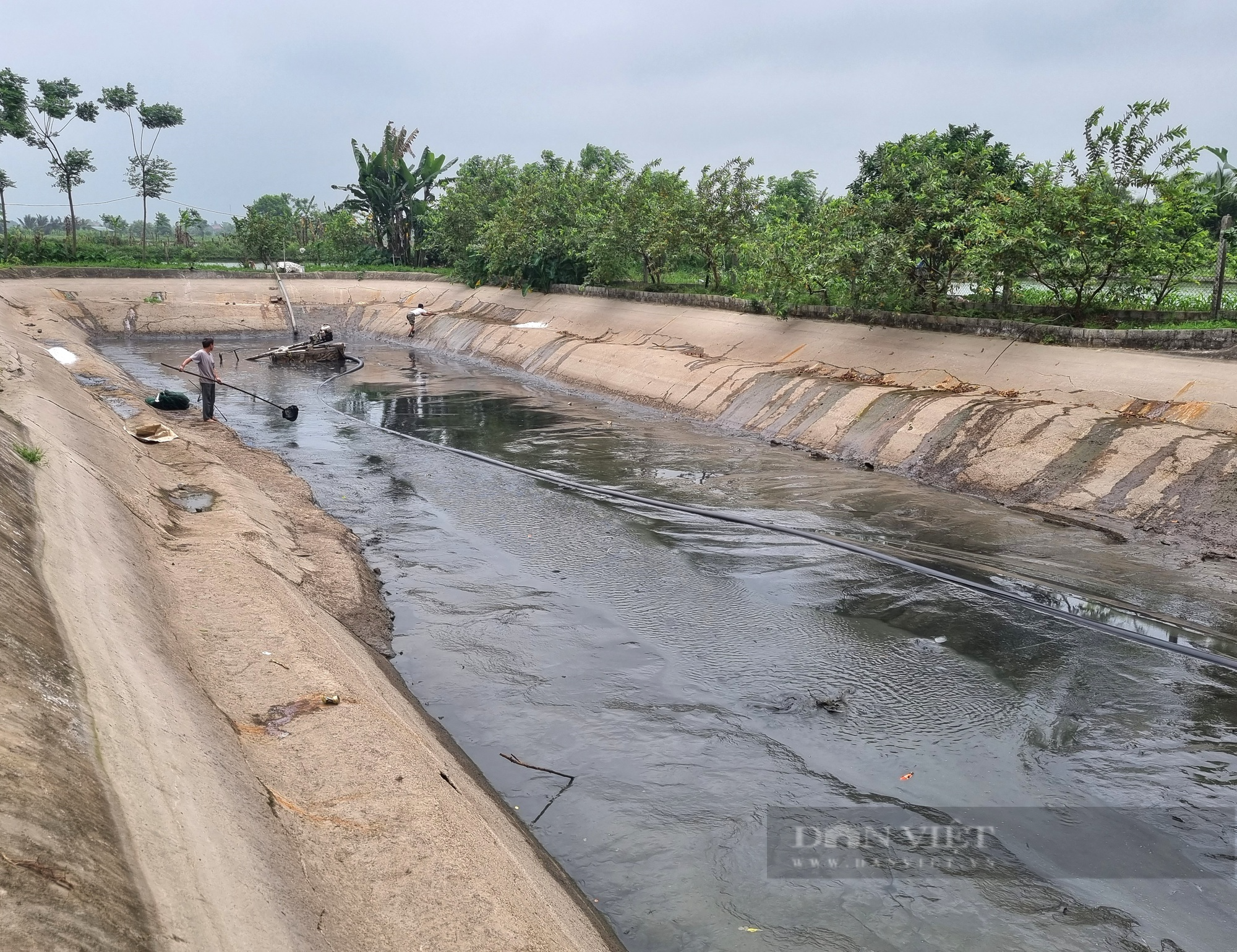 Một hợp tác xã nuôi cá, trồng cây ở Ninh Bình có doanh thu 20 tỉ đồng/năm - Ảnh 7.