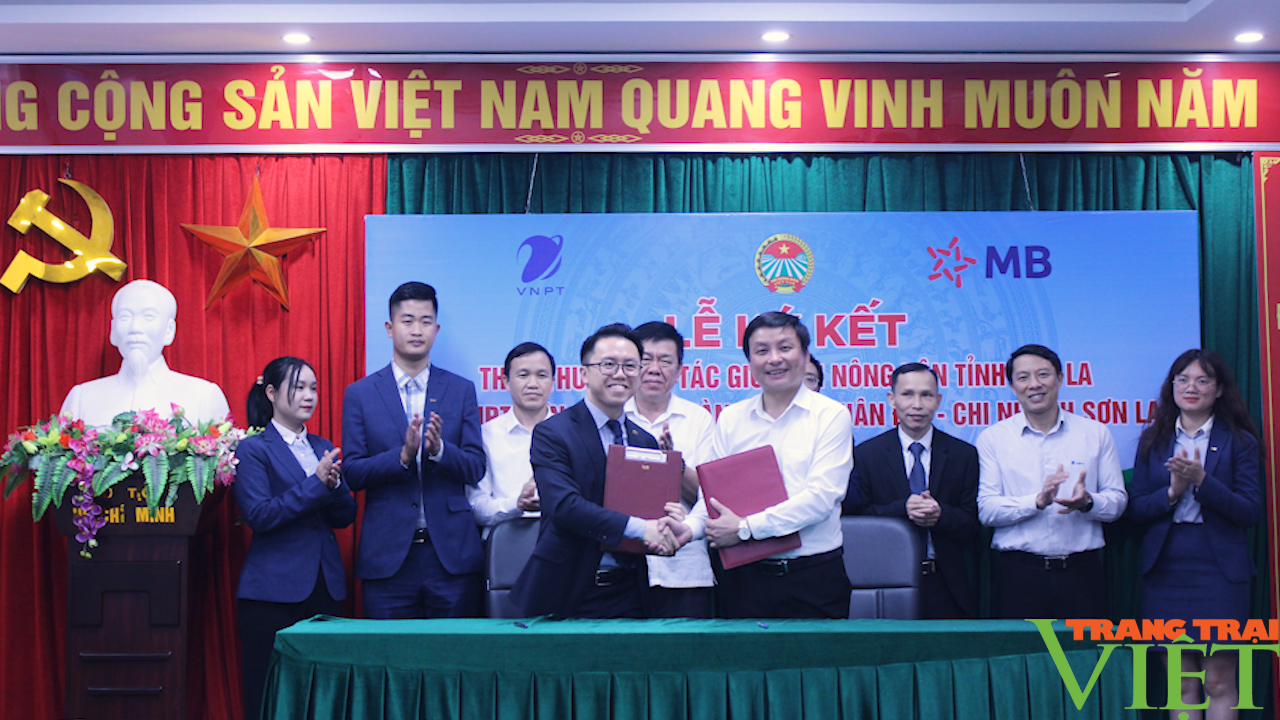 Hội Nông dân tỉnh Sơn La hợp tác với VNPT Sơn La, ngân Hàng TMCP Quân Đội - Ảnh 7.