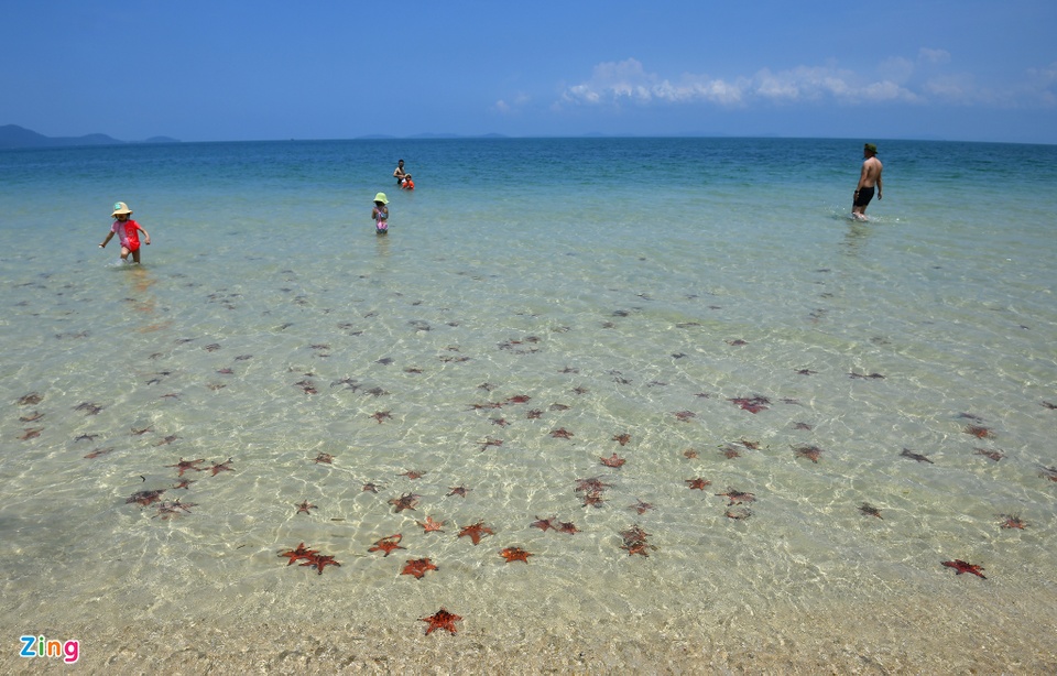 Bãi tắm hoang sơ, đặc biệt là toàn sao biển ở Phú Quốc - Ảnh 1.