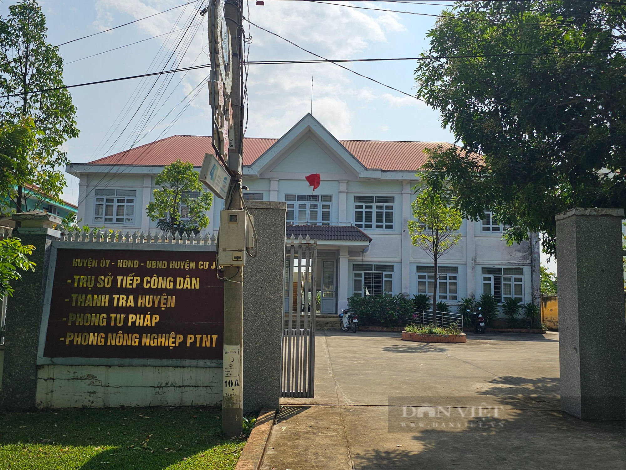 Xác minh thông tin một Trưởng phòng Tư pháp ở Đắk Nông trộm cắp cây hoa giấy - Ảnh 1.