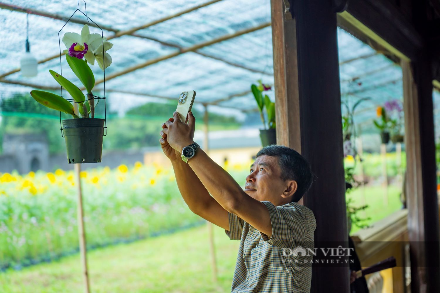 Chiêm ngưỡng những kiệt tác cây kiểng và hoa phong lan ba miền hội tụ tại cố đô Huế  - Ảnh 9.