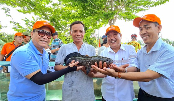 Thi cá lóc lớn nhất, buồng chuối lớn nhất tại sự kiện Hương rừng U Minh - Ảnh 1.