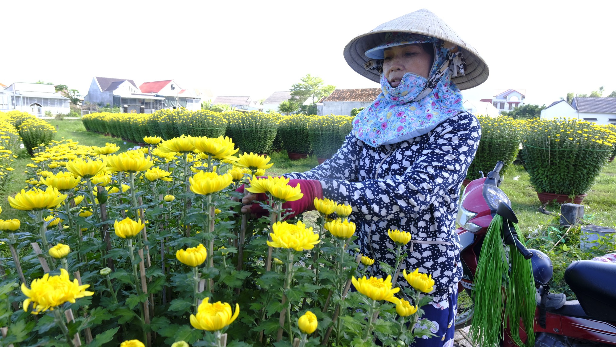 Khánh Hòa: Vận động nông dân hiến hơn 22.000 m2 đất và đóng góp trên 12 tỷ đồng - Ảnh 1.