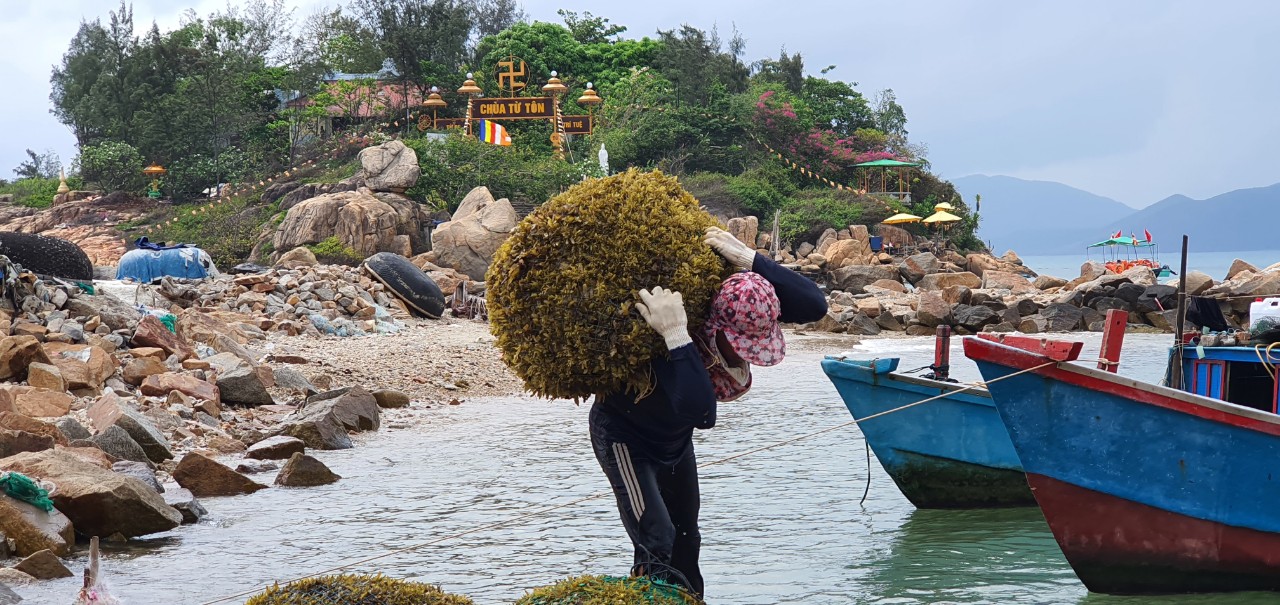 Một ngôi chùa nằm ở Nha Trang, xung quanh toàn biển, ai đến cũng thích - Ảnh 3.