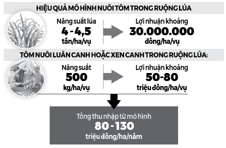 gop/Quy hoạch vùng nuôi, tạo “đột phá” cho mô hình tôm - lúa  - Ảnh 2.