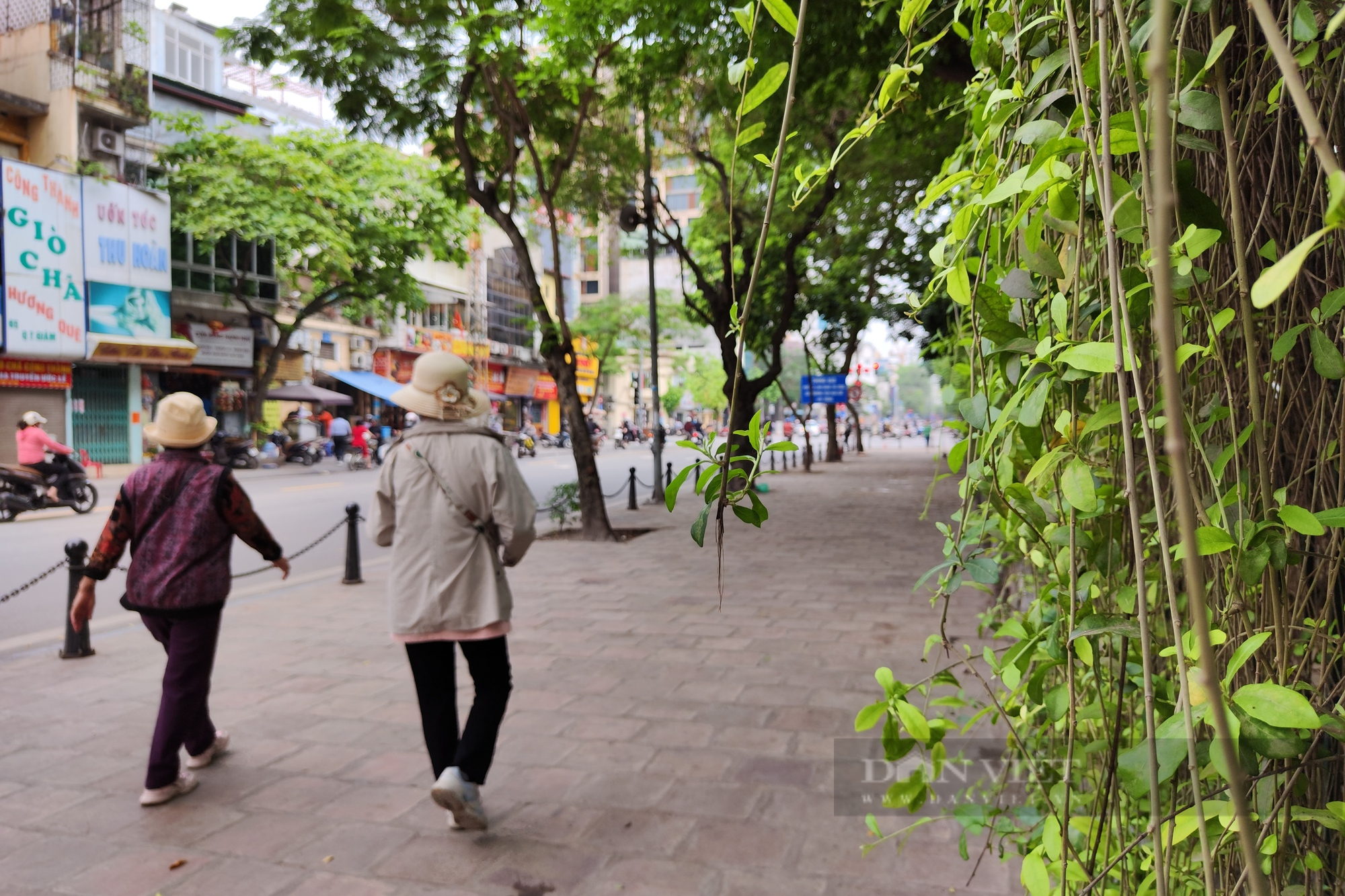 Phố Văn Miếu – Quốc Tử Giám trong đề án xây dựng phố đi bộ mới ở Hà Nội - Ảnh 8.