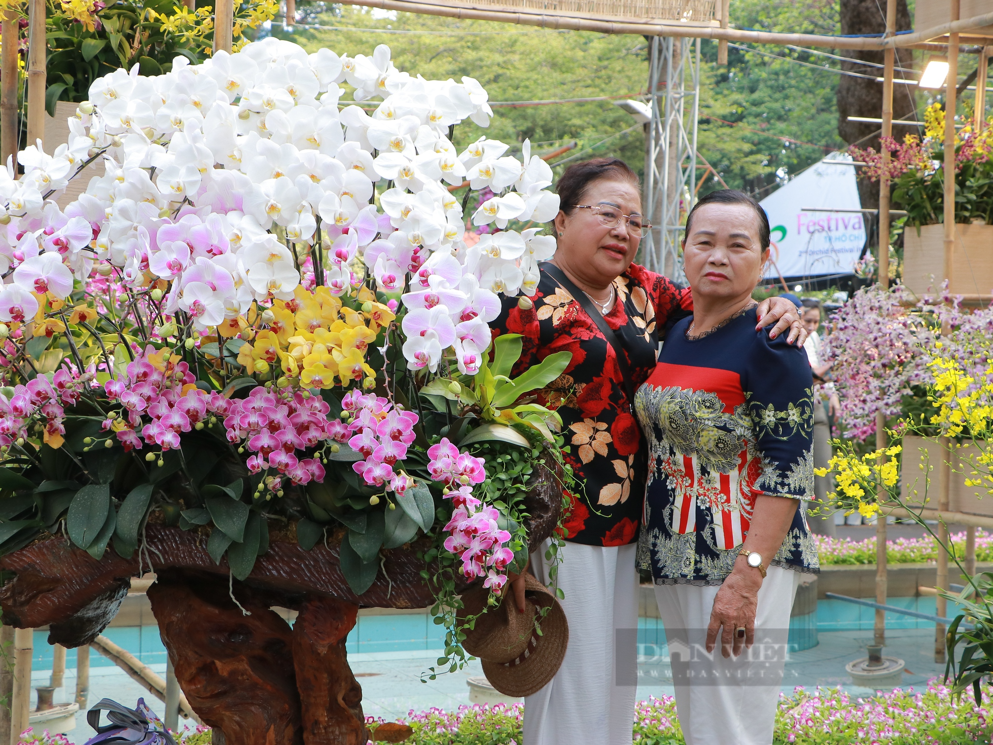 Festival hoa lan TP.HCM quy tụ 29.000 sản phẩm hoa lan tham gia trưng bày - Ảnh 4.