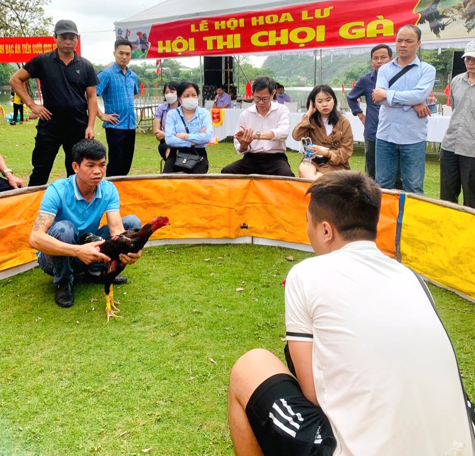 Hội Nông dân tỉnh Ninh Bình tổ chức thi chọi gà tại lễ hội Hoa Lư - Ảnh 3.