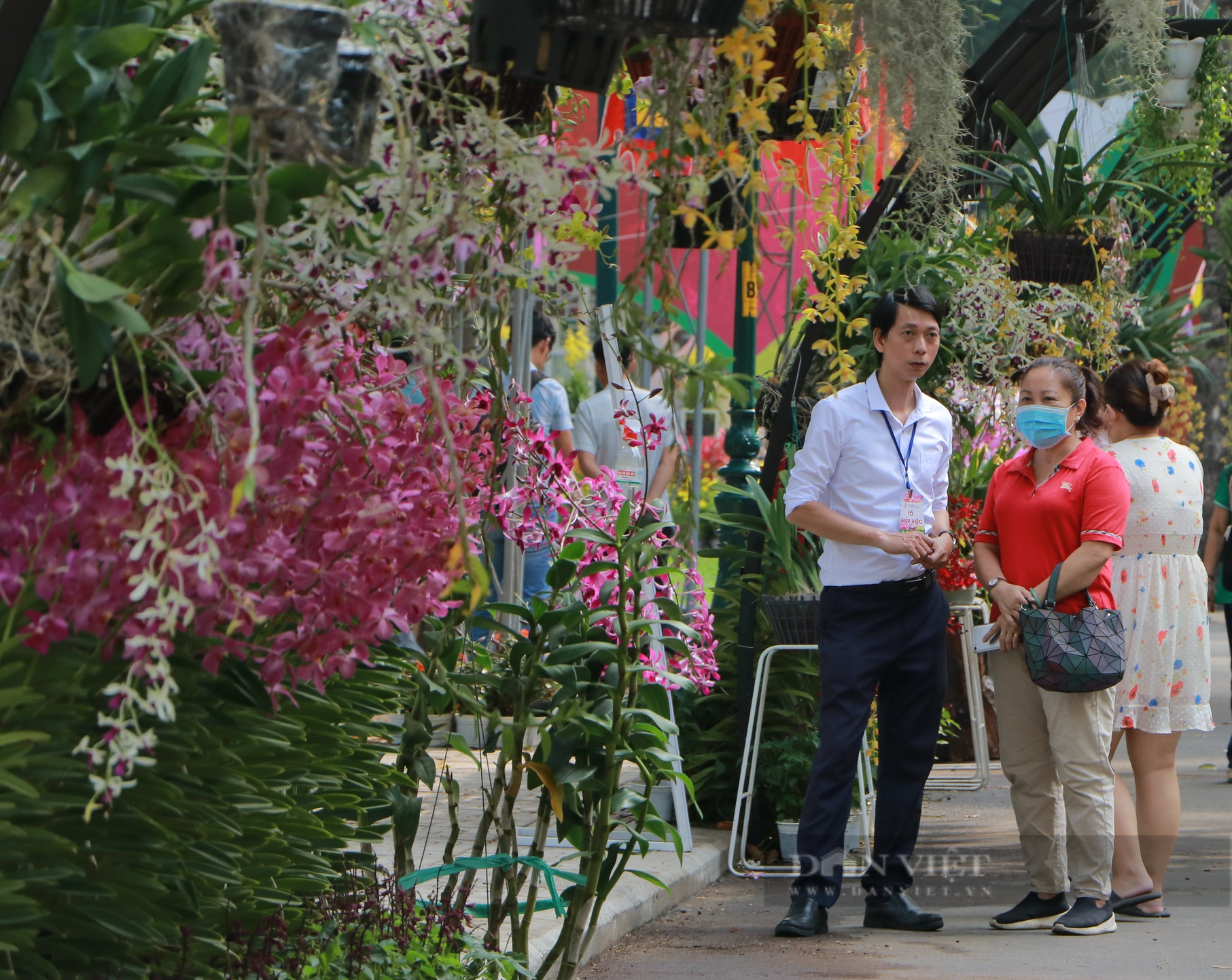 Festival hoa lan TP.HCM có nhiều giống lạ, đông đảo người dân đến tham quan, chụp ảnh - Ảnh 5.