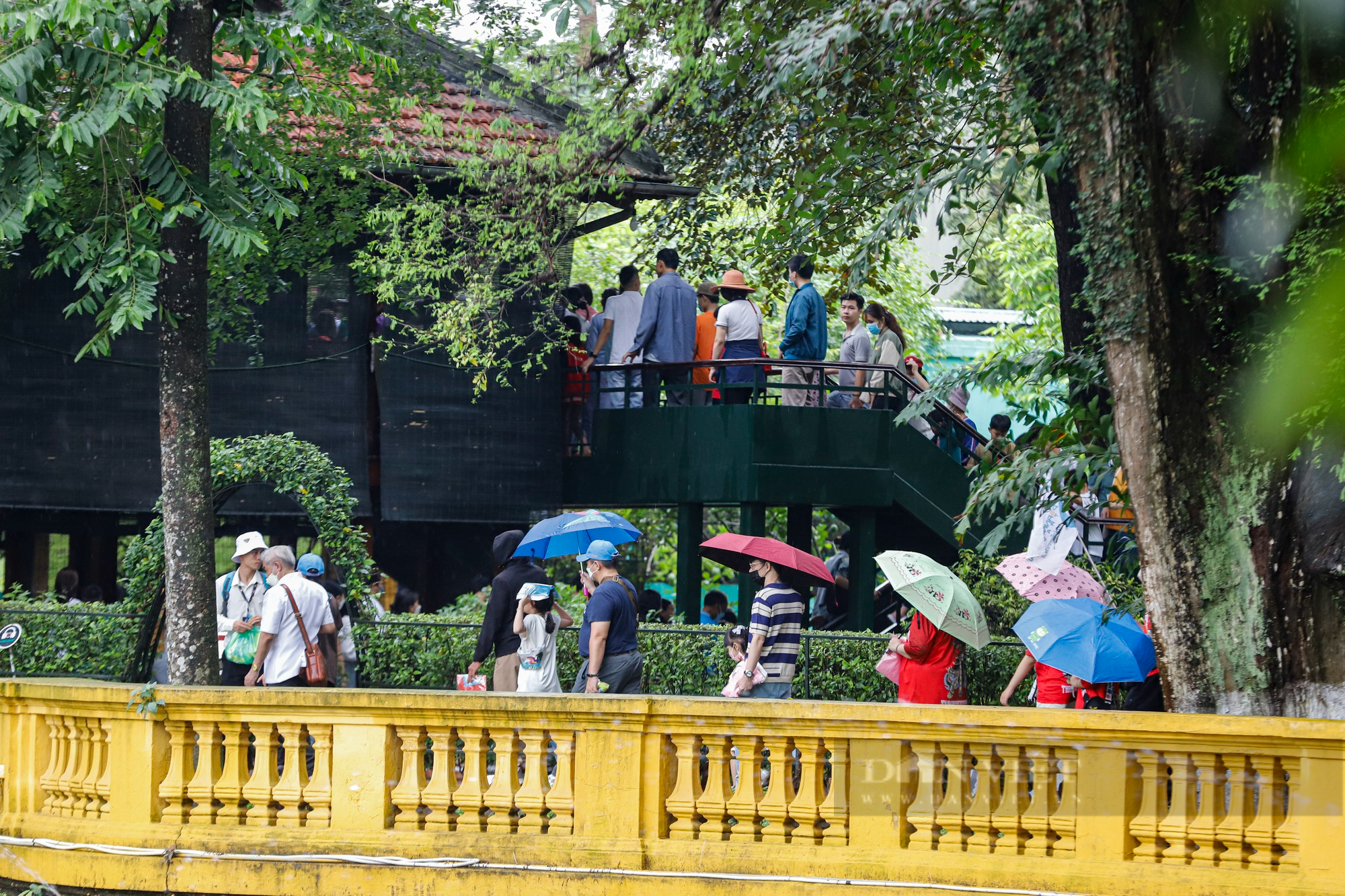 Hàng nghìn người xếp hàng dưới mưa vào Lăng viếng Bác ngày Giỗ Tổ Hùng Vương - Ảnh 12.