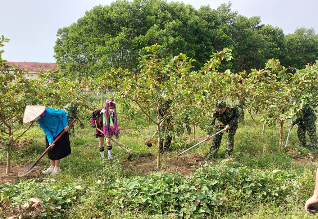 Làng họ Đặng ở Quảng Ninh với đường hoa nông thôn mới, tường nhà vẽ tranh bích họa đẹp như phim  - Ảnh 3.