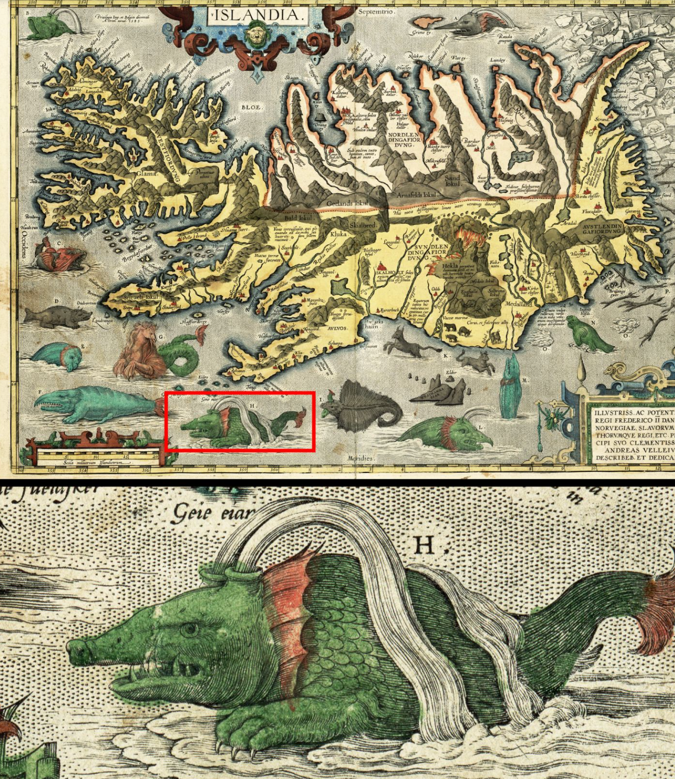 Vén màn bí mật về quái vật biển đáng sợ hafgufa, nỗi kinh hãi của vùng biển Bắc Âu - Ảnh 3.