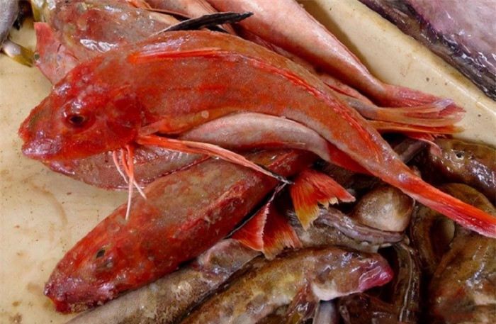 3 loại cá có hàm lượng dinh dưỡng cao nhưng lại ít bán đại trà trong chợ, thấy là nên mua ngay - Ảnh 1.