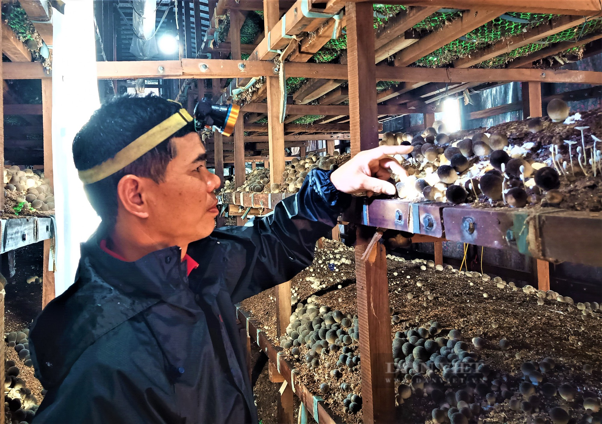 Một nông dân Hải Dương đi lao động Đài Loan, học được nghề trồng cây &quot;… mọc sau mưa&quot;, ai ngờ đổi đời. - Ảnh 8.