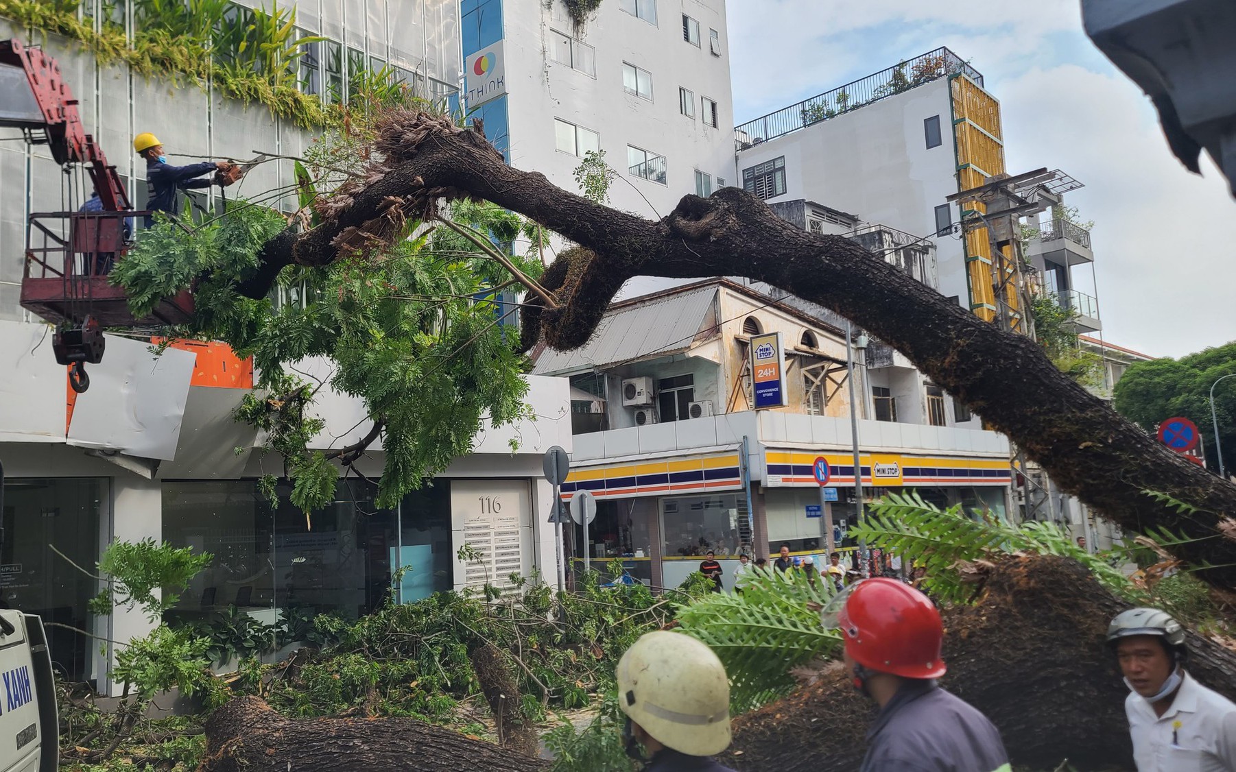 Cây me trong trường học bất ngờ bật gốc, đè nhiều người bị thương