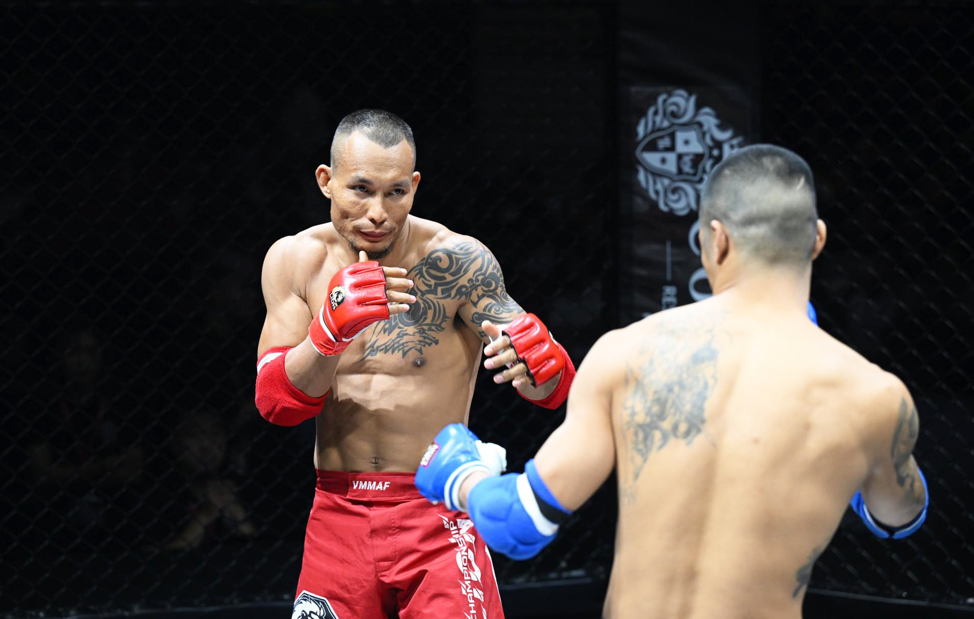 From stuntman to undefeated Viet MMA fighter – Thuvienpc.com