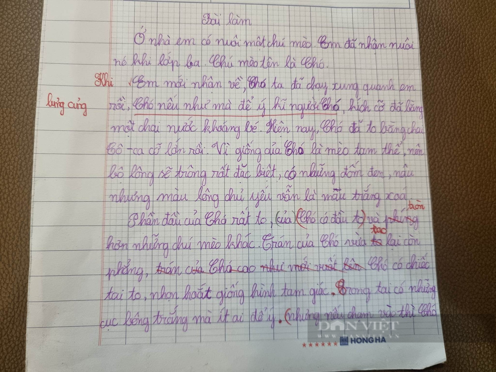 Bài văn tả con mèo của học sinh lớp 4 ở Hà Nội khiến người đọc ôm bụng cười  - Ảnh 1.