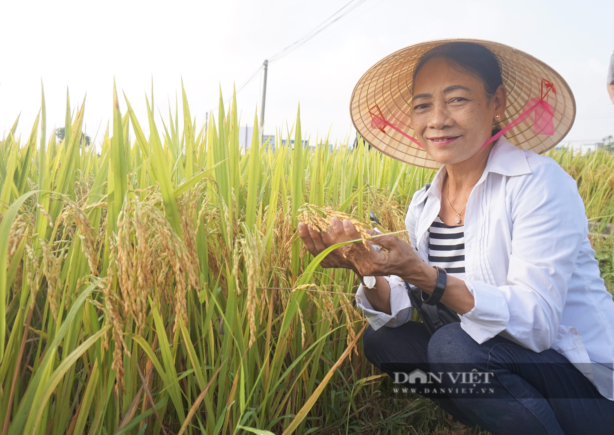 Bộ tứ lúa giống của Vinaseed “tỏa sáng” rực rỡ trên nhiều chân đất, nông dân xứ Quảng mê mẩn - Ảnh 5.