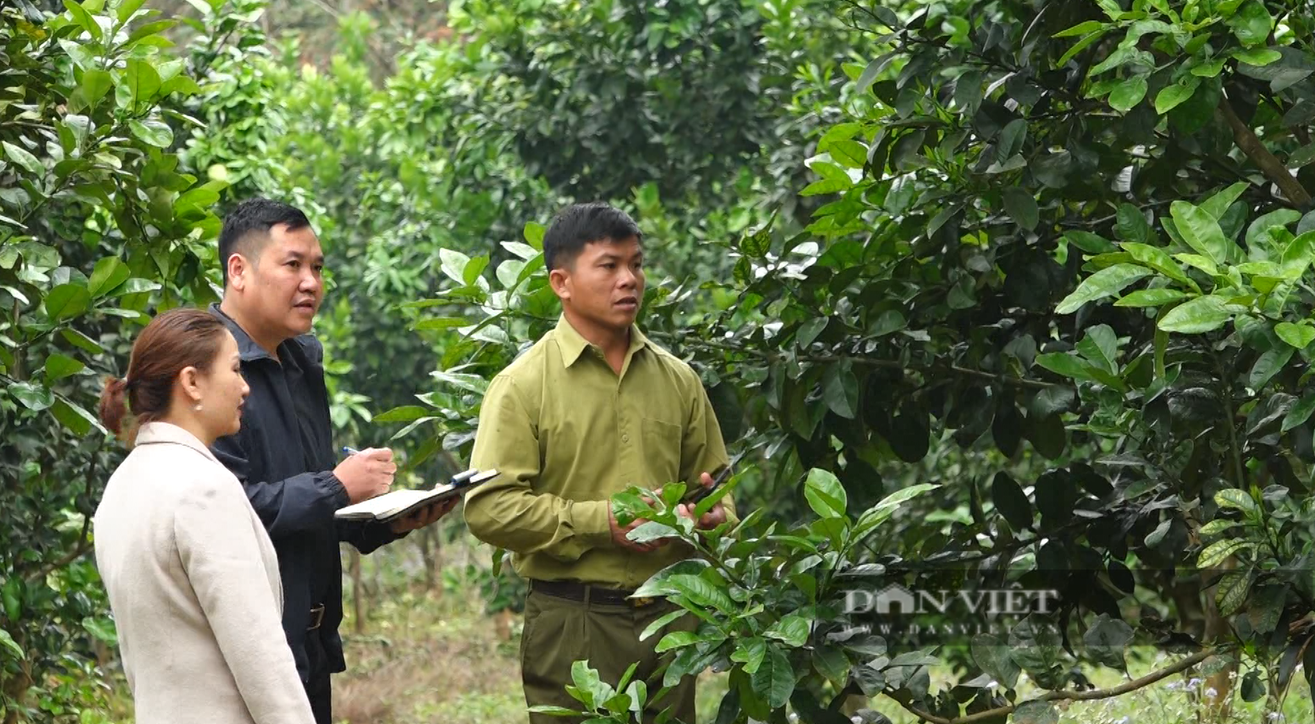 Người Lự ở Nậm Tăm no ấm từ chính sách dành cho đồng bào dân tộc thiểu số - Ảnh 2.