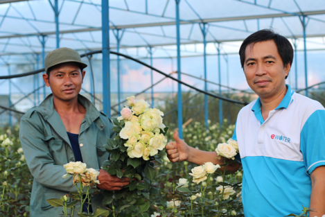 Chàng kỹ sư điện làm dung dịch “hô biến” hoa thành nhiều màu, cắm hoa tươi 10-15 ngày  - Ảnh 1.