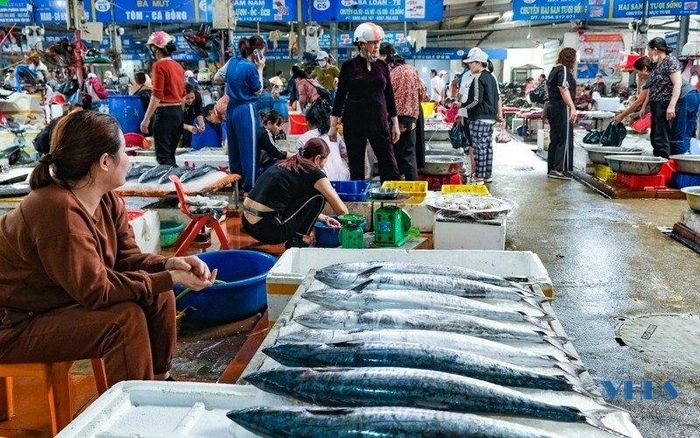 La liệt mực, cá, tôm, ghẹ, bề bề,... tươi ngon ở chợ hải sản nổi tiếng Cột Đỏ - Ảnh 1.