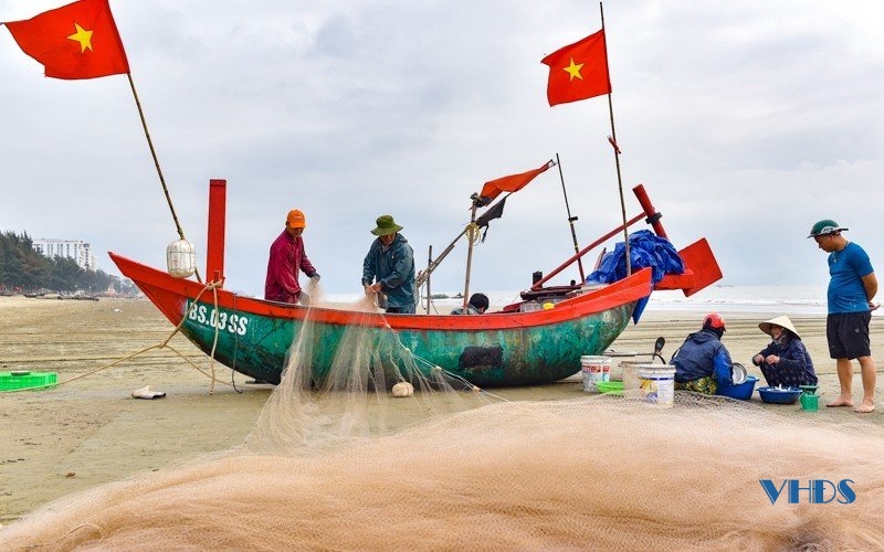 La liệt mực, cá, tôm, ghẹ, bề bề,... tươi ngon ở chợ hải sản nổi tiếng Cột Đỏ - Ảnh 10.