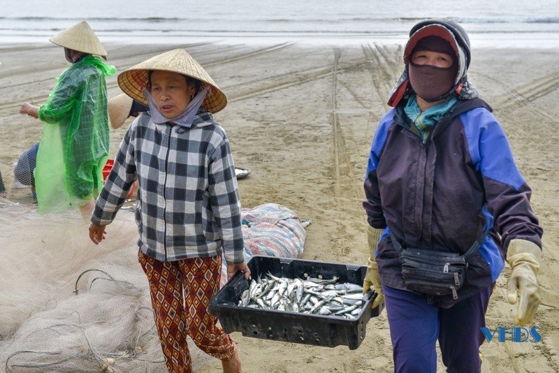 La liệt mực, cá, tôm, ghẹ, bề bề,... tươi ngon ở chợ hải sản nổi tiếng Cột Đỏ - Ảnh 11.