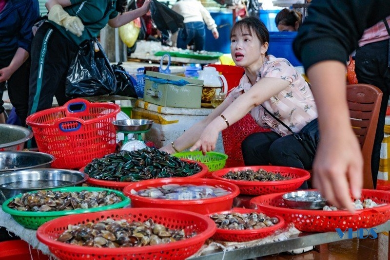 La liệt mực, cá, tôm, ghẹ, bề bề,... tươi ngon ở chợ hải sản nổi tiếng Cột Đỏ - Ảnh 5.