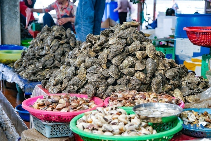 La liệt mực, cá, tôm, ghẹ, bề bề,... tươi ngon ở chợ hải sản nổi tiếng Cột Đỏ - Ảnh 7.