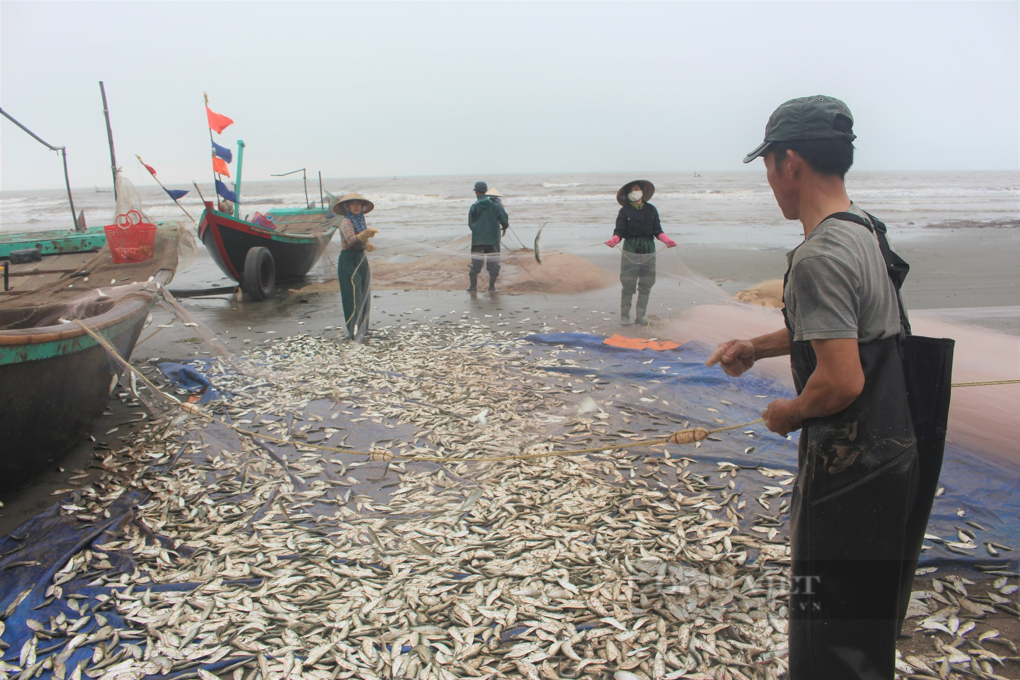 Nam Định nỗ lực tái tạo và bảo vệ nguồn lợi thủy sản - Ảnh 6.