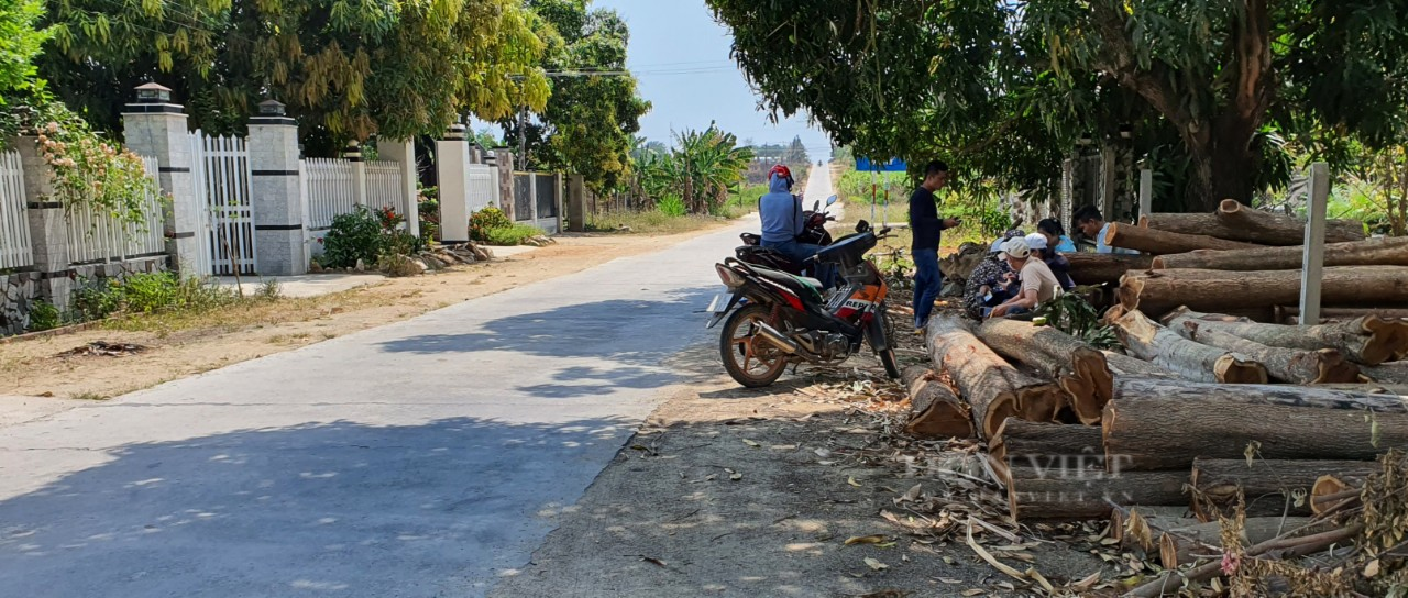 Rầm rộ dòng người đổ về vùng quê Khánh Hòa săn đất - Ảnh 2.