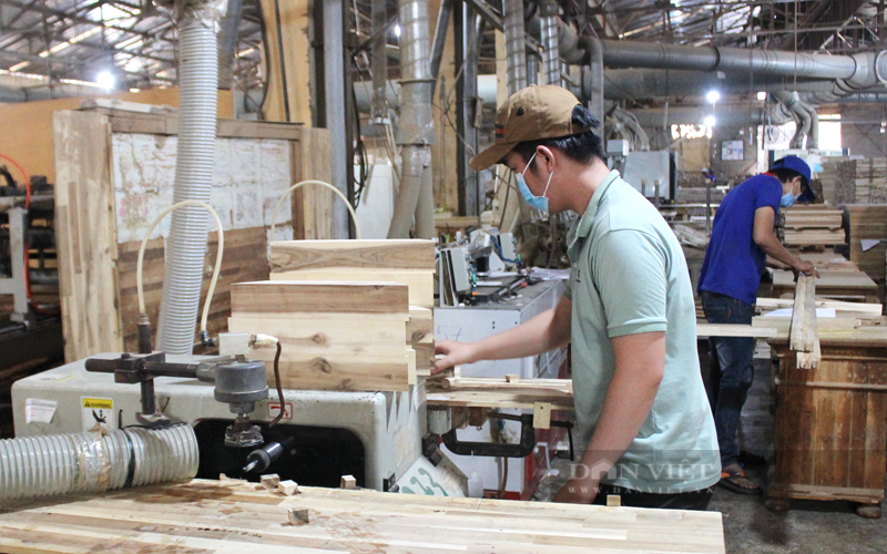 Người lao động làm việc tại một công ty chế biến gỗ ở TP.Thuận An, Bình Dương. Ảnh: Nguyên Vỹ